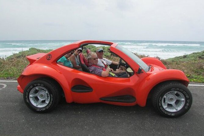 Cozumel Buggy Island Tour, Otoch Mayan Experience & Clear Boat - San Martín Beach for sun and photographs