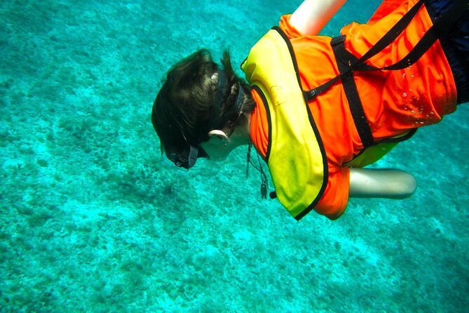 Cozumel Buggy Tour: Snorkeling , Otoch Mayan Experience & Lunch - Snorkeling at SkyReef and Arrecifes de Cozumel