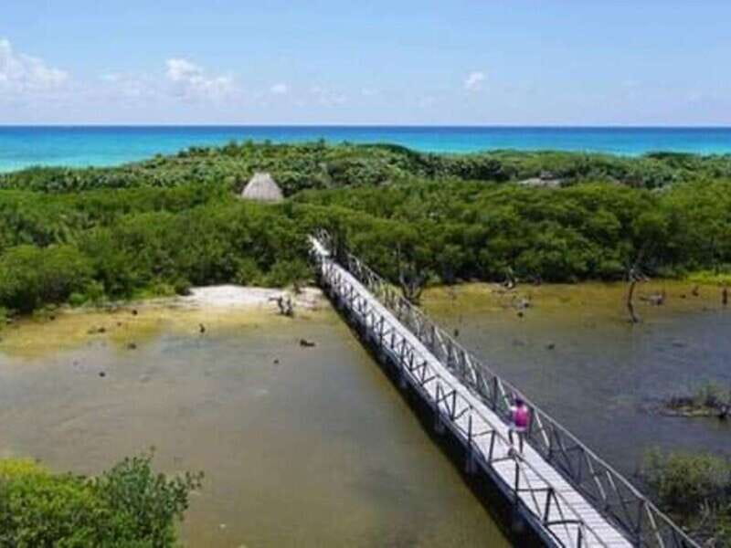 Cozumel: Classic Jeep or Buggy Island Tour to Punta Sur - Who will enjoy this Cozumel outing most