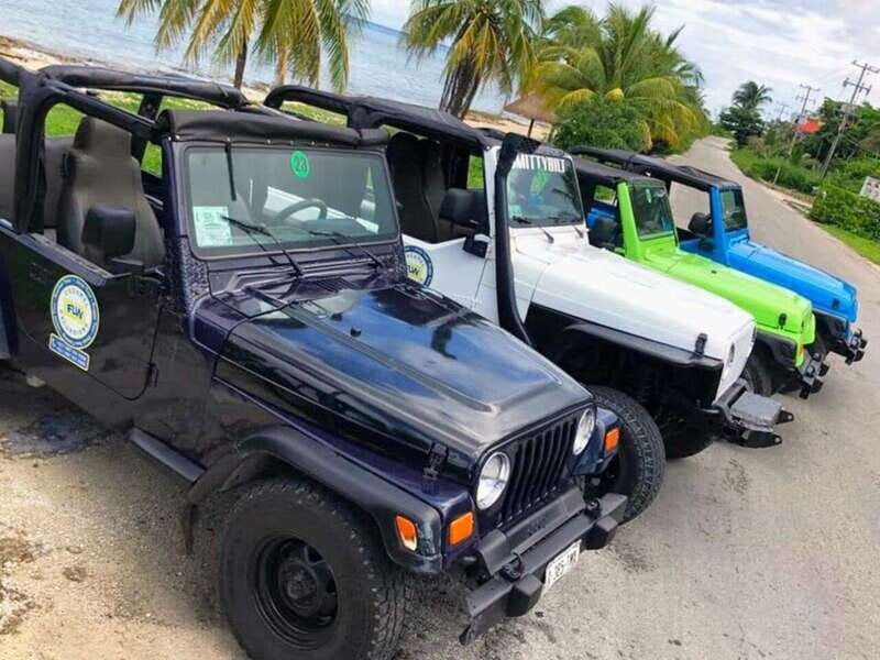 Cozumel: Classic Jeep or Buggy Island Tour to Punta Sur - Why this tour makes sense for a first day in Cozumel