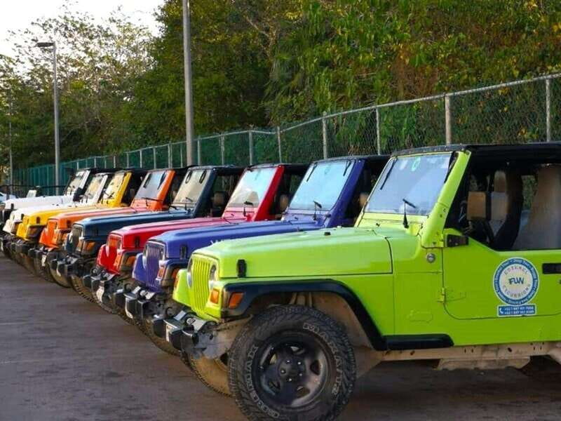 Cozumel: Classic Jeep or Buggy Island Tour to Punta Sur - Punta Sur Lighthouse and the view from the top