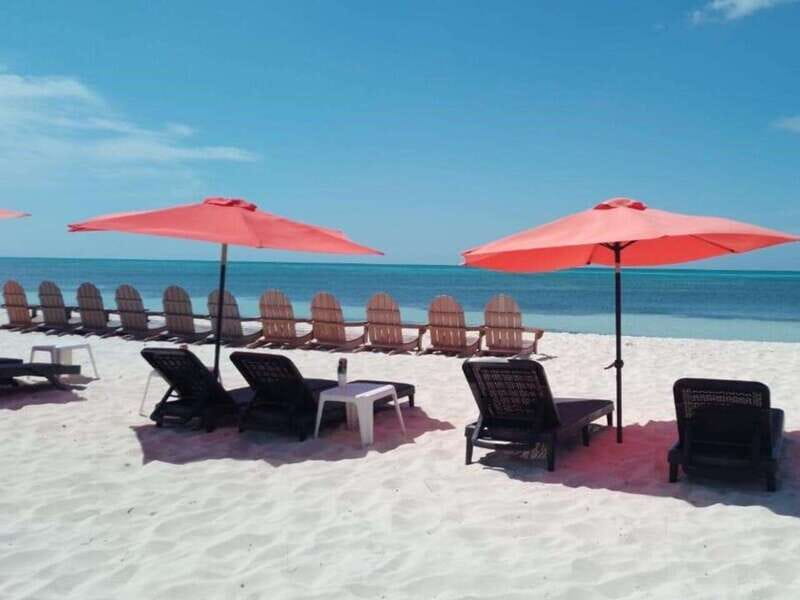 Cozumel: Classic Jeep or Buggy Island Tour to Punta Sur - Crocodiles, conservation, and El Caracol