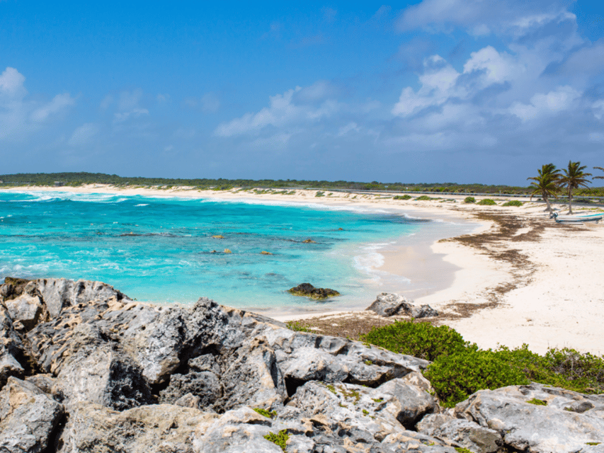 Cozumel: Classic Jeep or Buggy Island Tour to Punta Sur - Mexican lunch beside the sea