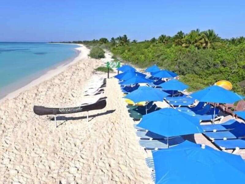 Cozumel: Classic Jeep or Buggy Island Tour to Punta Sur - What the guide adds to the day