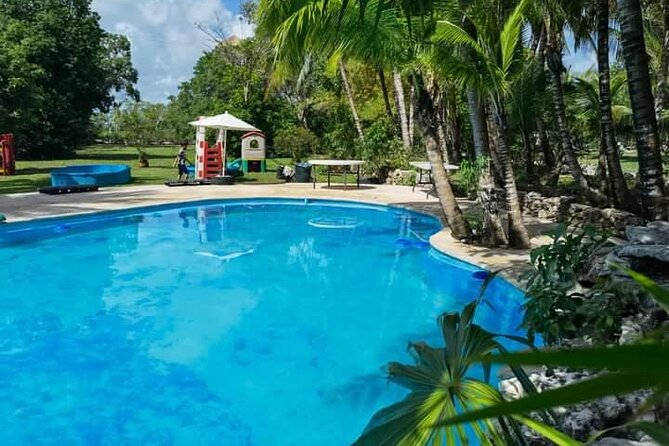 Cozumel Jungle ATV Adventure and Unlimited Beach Break - Choosing between a single and shared ATV