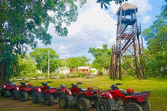 Cozumel Jungle ATV Adventure and Unlimited Beach Break - Dzul-Ha Reef gives you a calmer second act