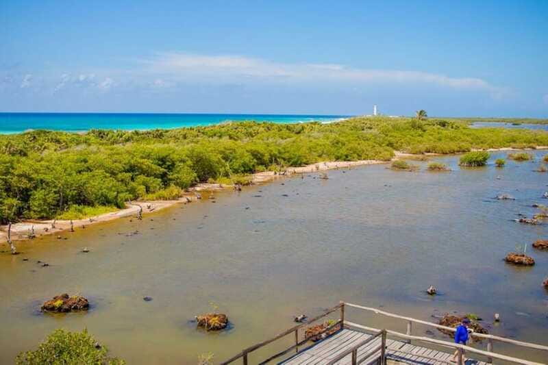 Cozumel: Private Buggy Tour to Punta Sur Park All Inclusive - Who Should Book This Tour?