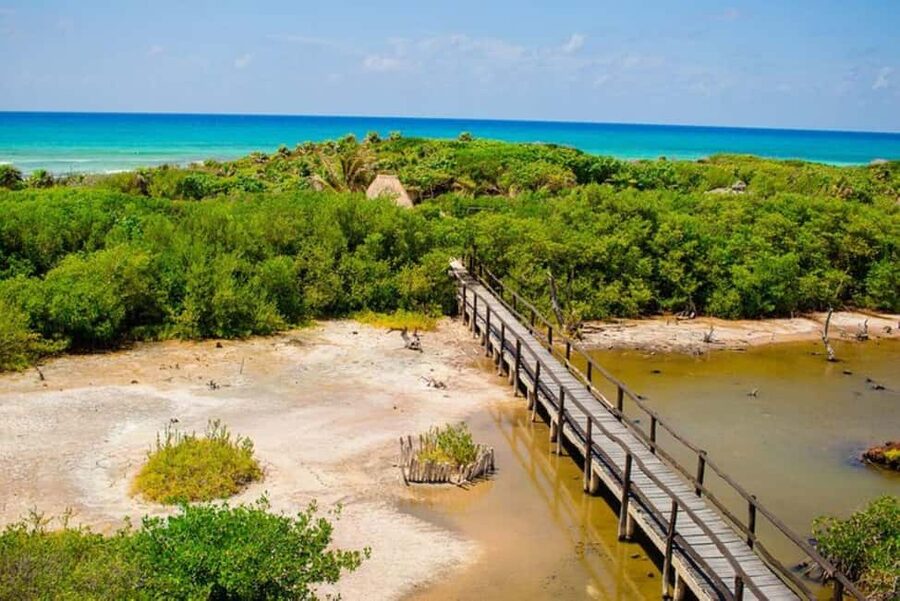 Cozumel: Private Buggy Tour to Punta Sur Park All Inclusive - Pickup Is Simple, But Know Your Meeting Point