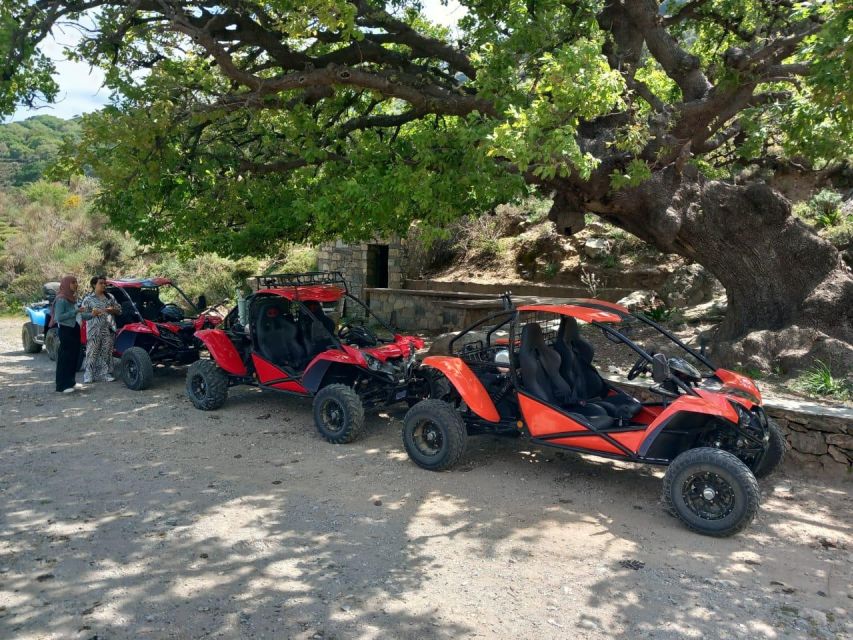 Crete buggy safari - Vassilakis Estate and Cretan olive oil