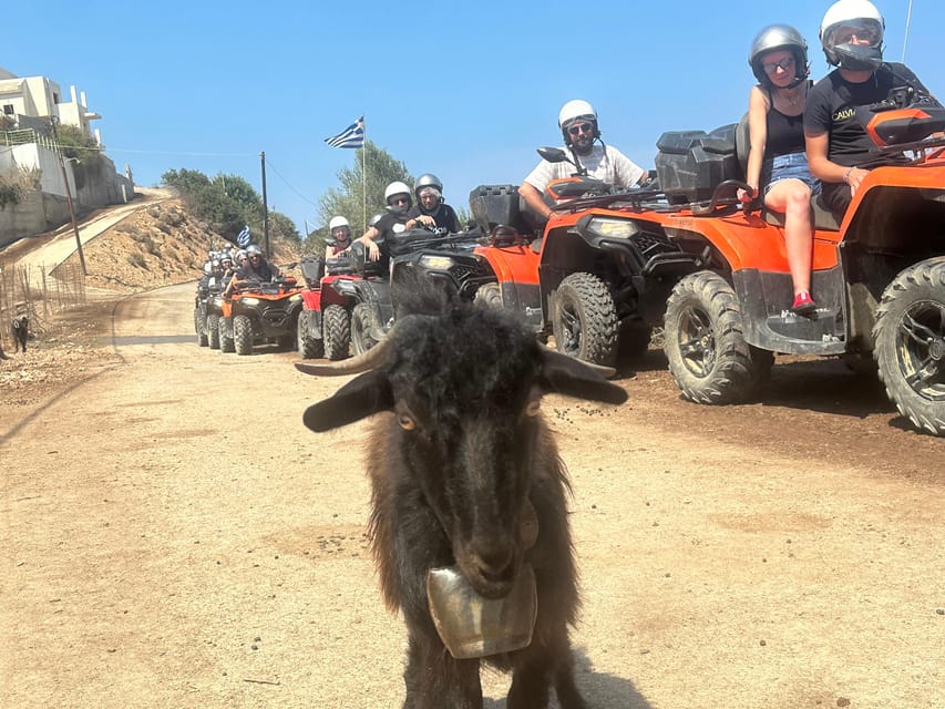 Crete: Quad Safari, Olive Mill with Tasting & Ghost Village - The olive mill and its tasting table