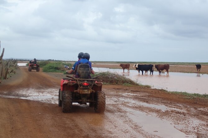 Curacao Half Day ATV East Adventure Tour - Ostrich Farm, Refreshments, and a Change of Pace
