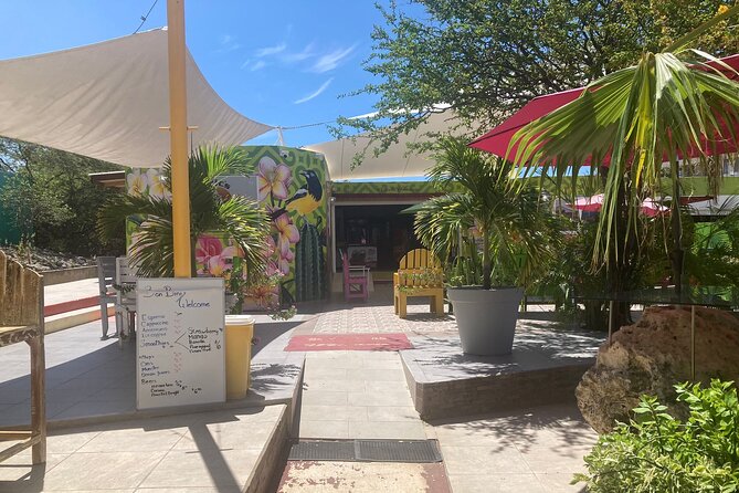 Curacao Half Day ATV East Adventure Tour - What the Ride Feels Like in Practice