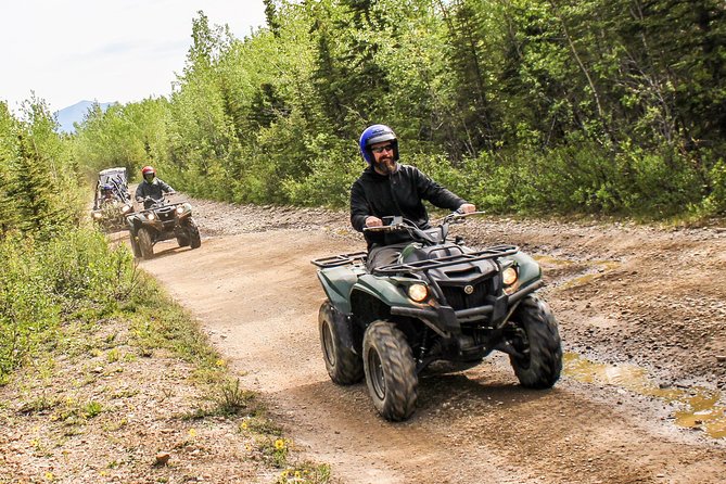 Denali ATV Trailblazer 3.5 Hour Tour - Why this ATV ride feels different from a Denali bus trip