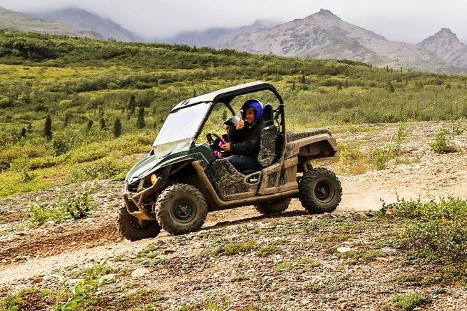 Denali ATV Trailblazer 3.5 Hour Tour - What the 20-mile trail is really like