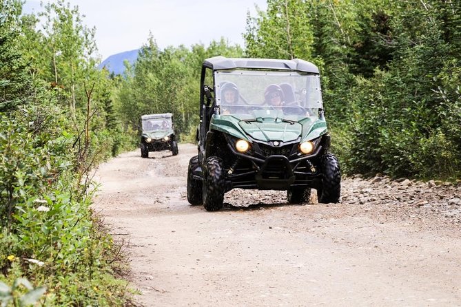 Denali ATV Trailblazer 3.5 Hour Tour - The 10:00 am start and hotel pickup