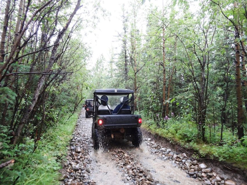 Denali: ATV Trailblazer Tour - How rough is the ride?