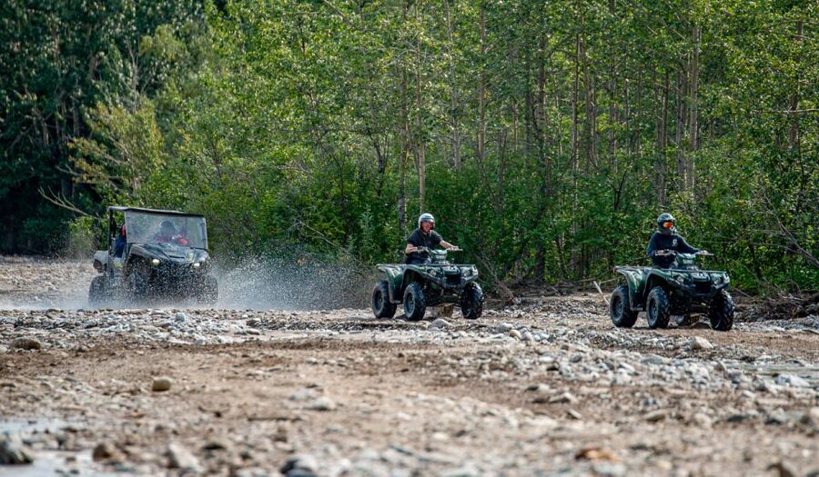 Denali National Park: Wilderness ATV Adventure - Watching for moose along the trail