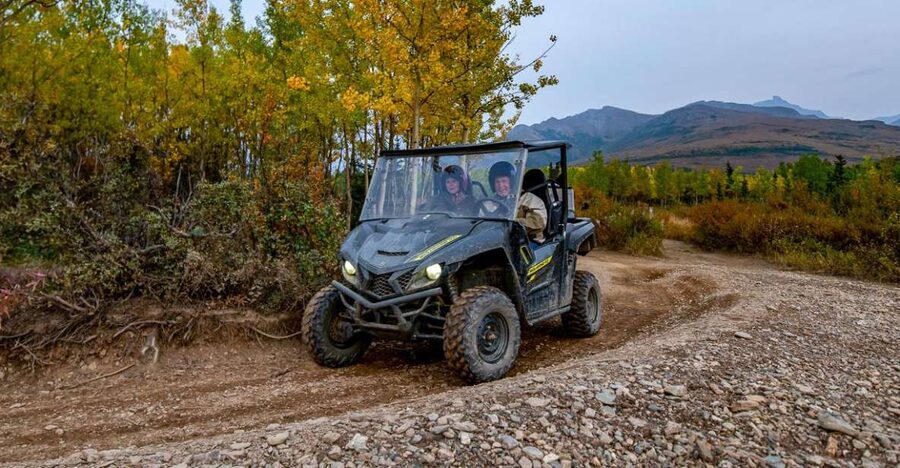 Denali National Park: Wilderness ATV Adventure - Choosing between a single ATV and a side-by-side