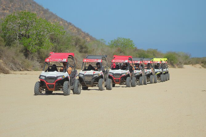 Desert and Beach UTV Adventure with Tequila Tasting - Key points to know before you book