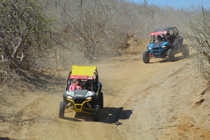Desert and Beach UTV Adventure with Tequila Tasting - Tequila tasting after the ride