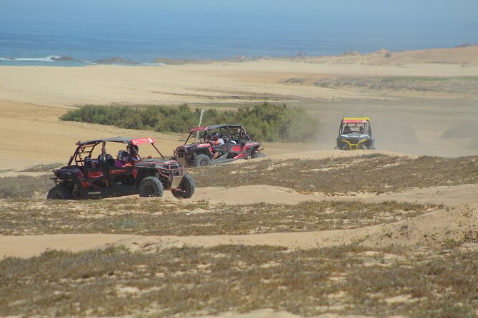 Desert and Beach UTV Adventure with Tequila Tasting - What the $179.12 price really covers