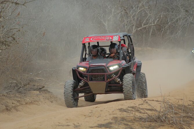 Desert and Beach UTV Adventure with Tequila Tasting - Pickup, meeting point, and group size