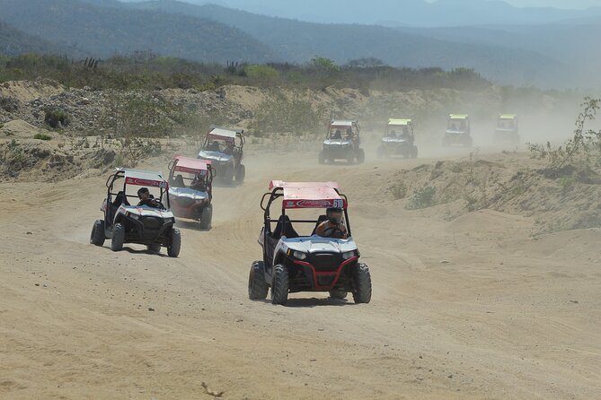 Desert and Beach UTV Adventure with Tequila Tasting - Who will enjoy this Cabo excursion most