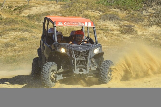 Desert and Beach UTV Adventure with Tequila Tasting - Cactus, volcanic rock, and Baja’s dry riverbed