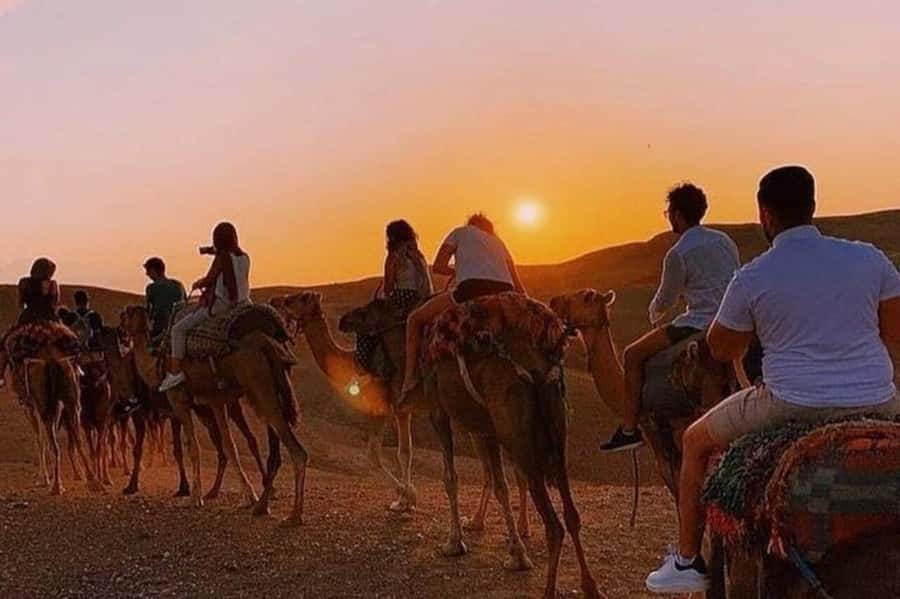 Desert & Beach Quad Adventure With Camel Ride - Why this Agadir quad and camel trip works