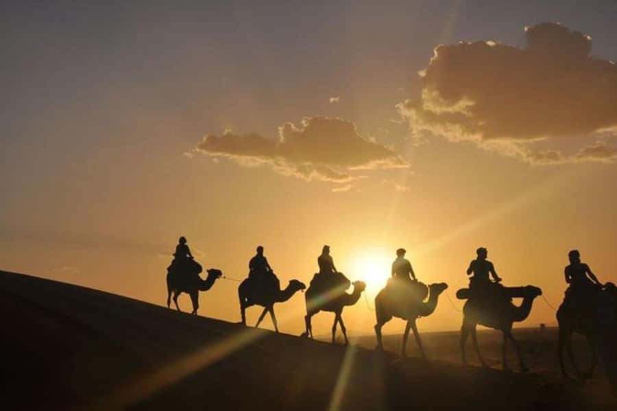 Desert & Beach Quad Adventure With Camel Ride - Pickup from Agadir, Taghazout, Tamraght, or Anza