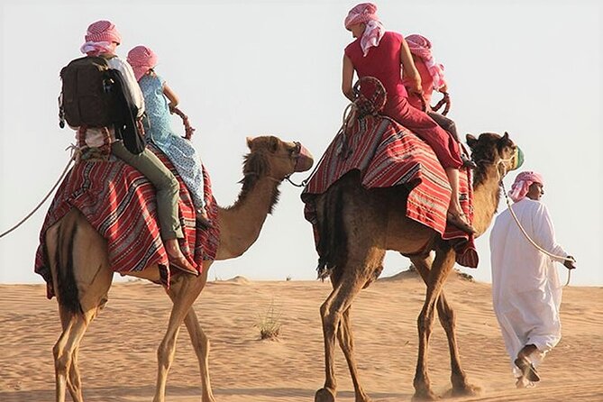 Desert Combo safari, Camel ride, Quad Bike and Dune Bashing(ALL INCLUSIVE) - What this Doha desert tour actually includes