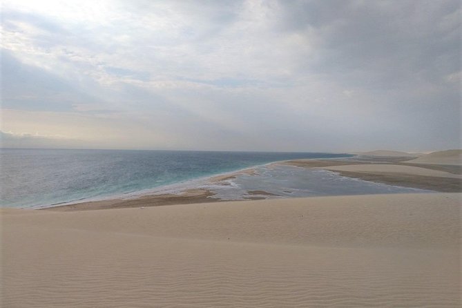 Desert Combo safari, Camel ride, Quad Bike and Dune Bashing(ALL INCLUSIVE) - The camel stop: traditional, short, and tourist-focused