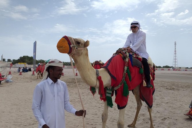 Desert Combo safari, Camel ride, Quad Bike and Dune Bashing(ALL INCLUSIVE) - Sealine Beach and the inland sea