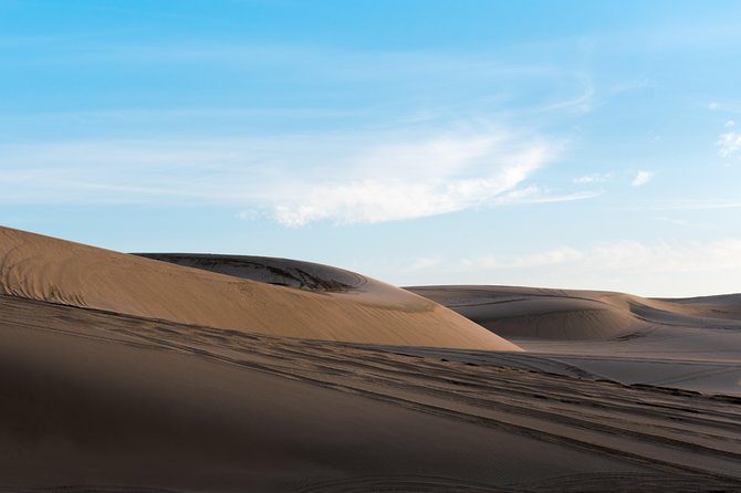 Desert Combo safari, Camel ride, Quad Bike and Dune Bashing(ALL INCLUSIVE) - Who should book this desert safari?