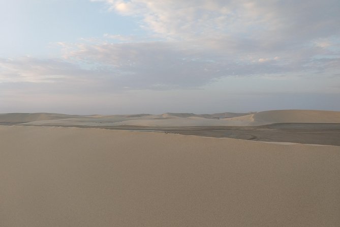 Desert Combo safari, Camel ride, Quad Bike and Dune Bashing(ALL INCLUSIVE) - Quad biking across the desert tracks