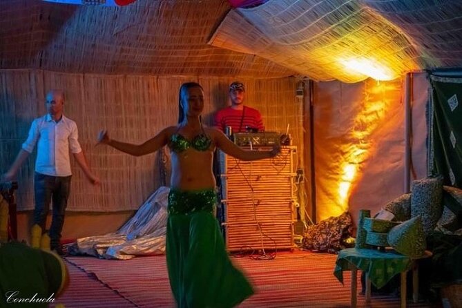 Desert D'Agafay Package - Quad, Dromedary and Dinner Show - A slower camel ride at sunset