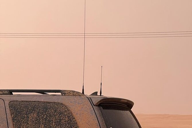 Desert Safari BBQ Dinner, Live Shows, ATV Bikes, Sandboarding - Key points to know before booking