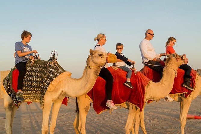 Desert Safari Dubai With Quad Bike ,camel Ride, bbq Dinner, Live Show's - Camel farm views and the sunset stop