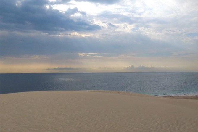 Desert safari, Dune bashing, sandboarding, camel, ATV Option - Leaving Doha for Qatar’s open sands