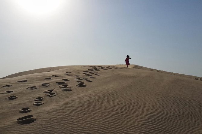 Desert safari, Dune bashing, sandboarding, camel, ATV Option - Optional ATVs: choose them for extra engine time