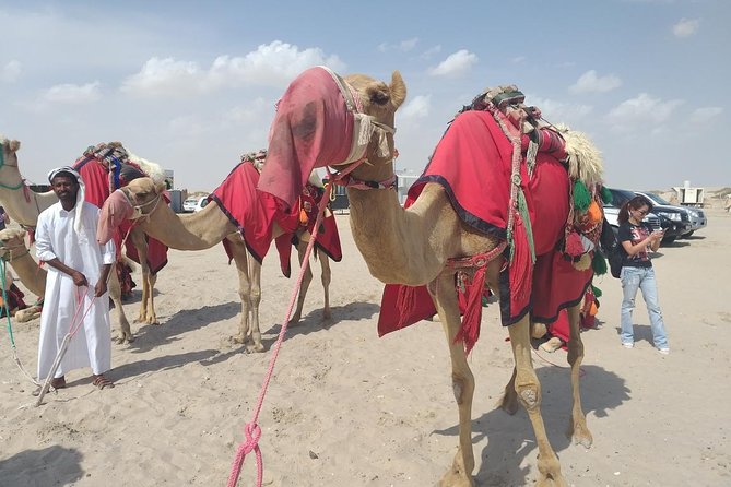Desert safari, Dune bashing, sandboarding, camel, ATV Option - How the four and a half hours are used