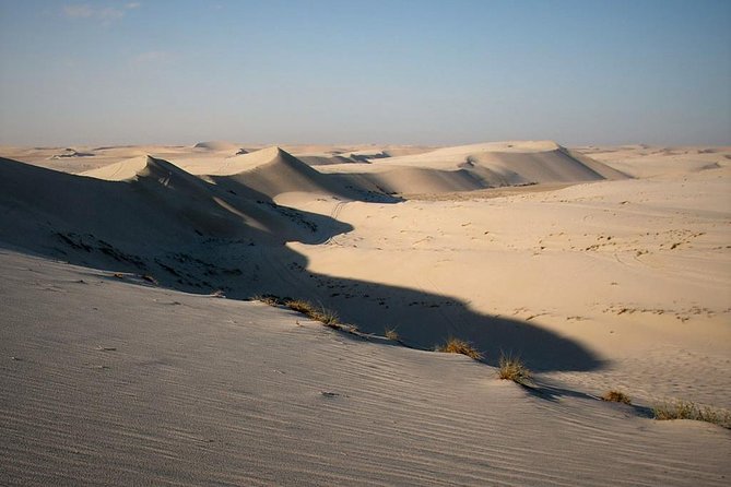 Desert safari, Dune bashing, sandboarding, camel, ATV Option - Guides make a real difference