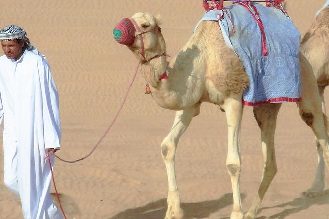 Desert safari, Dune bashing, sandboarding, camel, ATV Option - Camel stop: useful for photos, not a long ride