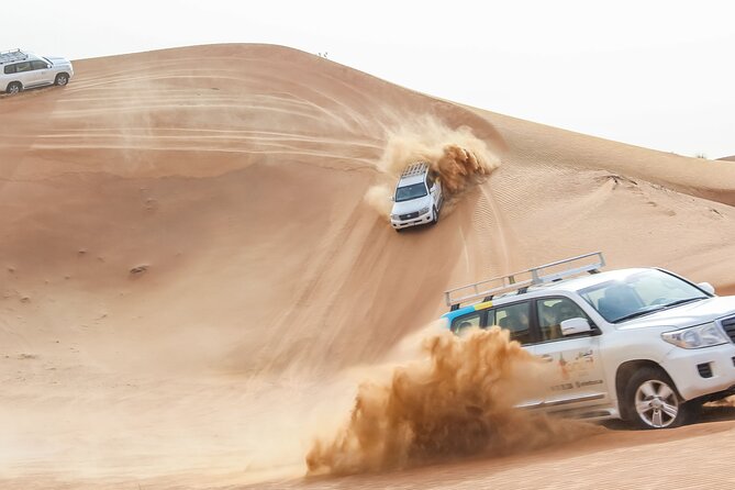Desert Safari Experience with Dune Bashing and Dinner in Dubai - Maleha and the desert’s traditional animals
