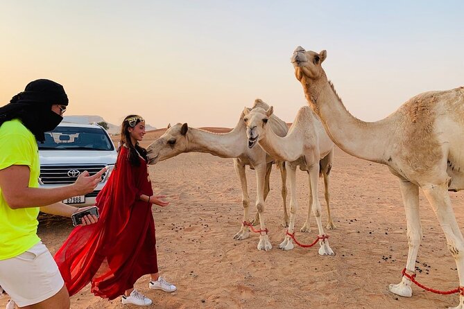 Desert Safari, Open Desert Quad Bike Experience with BBQ Dinner - Camel riding and sandboarding at camp