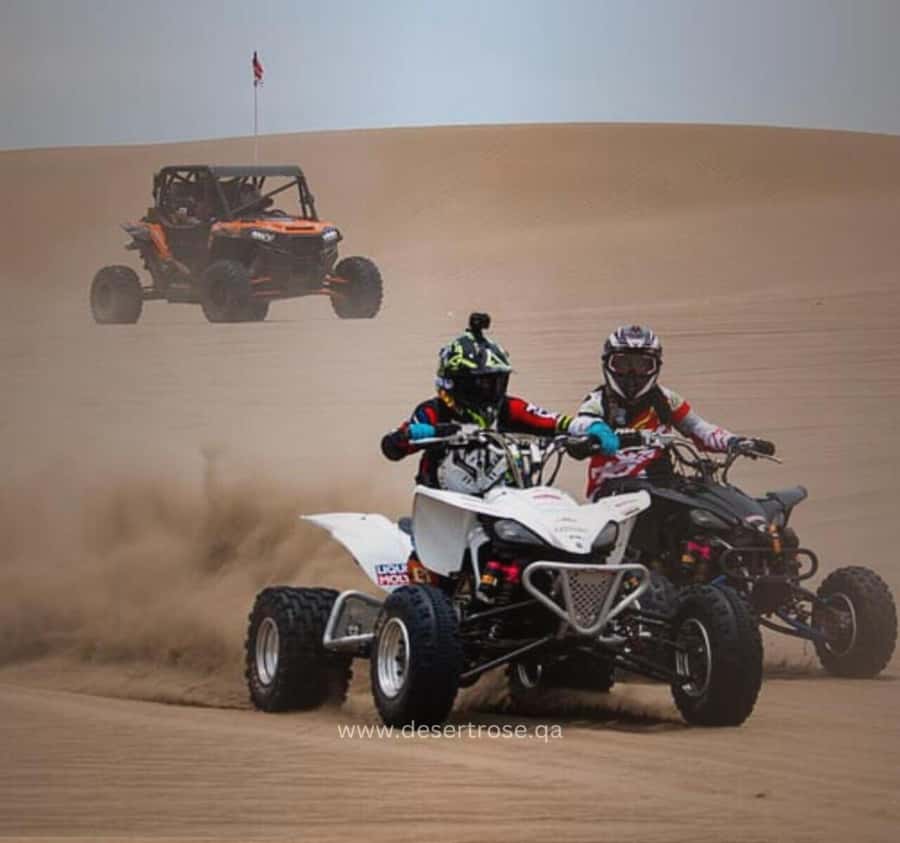 Desert Safari, Quad Bike, Camel Ride, Falcon & Sandboarding - Key points at a glance