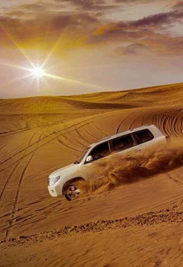 Desert Safari, Quad Bike, Camel Ride, Falcon & Sandboarding - Sealine Beach, camels, tea, and a falcon photograph