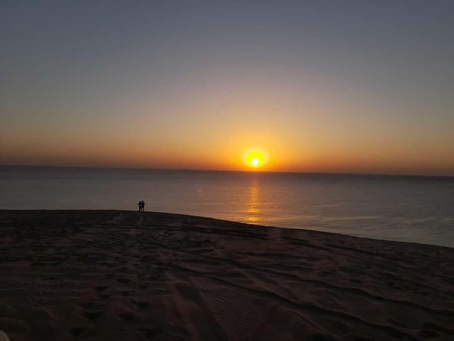 Desert Safari, Quad Bike, Camel Ride, Falcon & Sandboarding - Khor Al Udeid and the Inland Sea