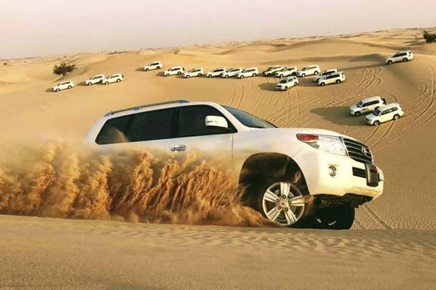 Desert Safari, Quad Bike, Camel Ride, Falcon & Sandboarding - From Doha to Mesaieed in an air-conditioned 4x4