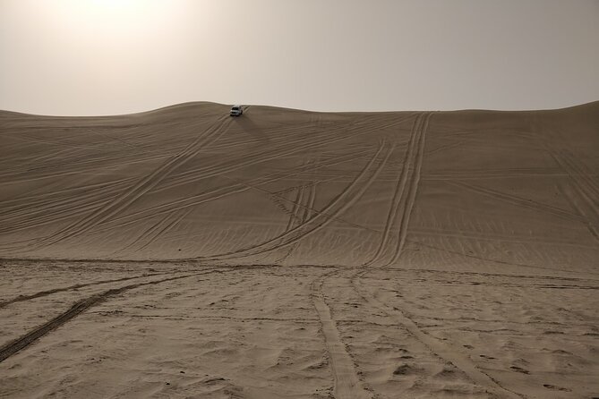 Desert Safari, Quad Bike, Sandboarding and Camel Ride - The return to Doha